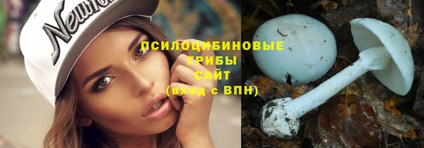 стаф Абаза