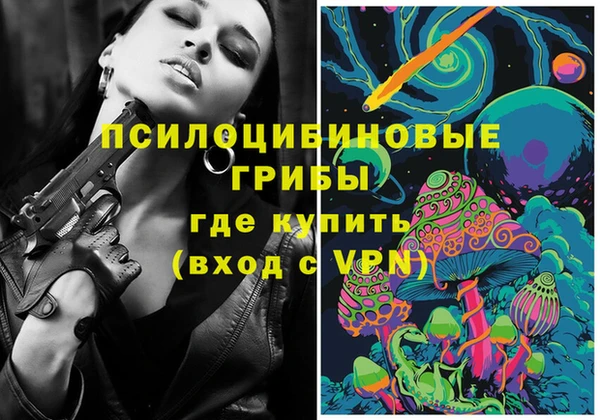 тгк Алексин