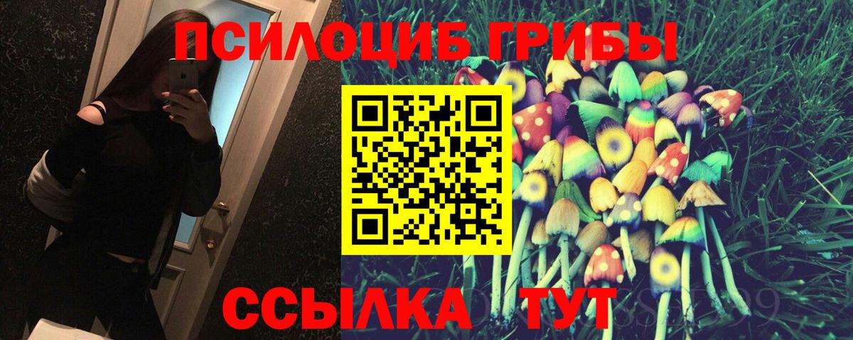 Галлюциногенные грибы MAGIC MUSHROOMS  Вход с VPN  Петровск  Галлюциногенные грибы GOLDEN TEACHER 